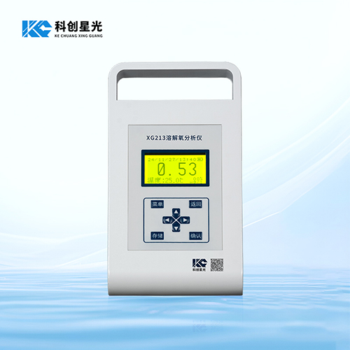 XG213 便攜式溶解氧分析儀