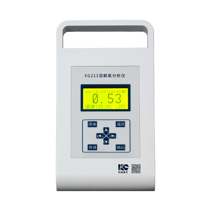 便攜式溶解氧分析儀(微克級)